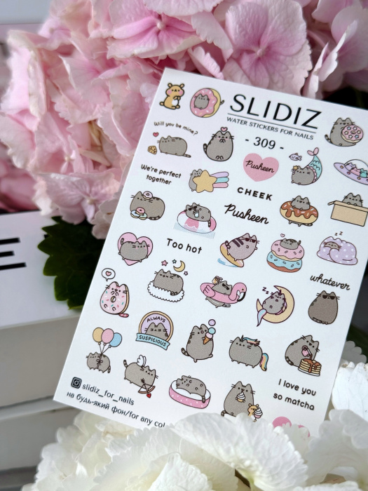 Слайдер дизайн SLIDIZ №309
