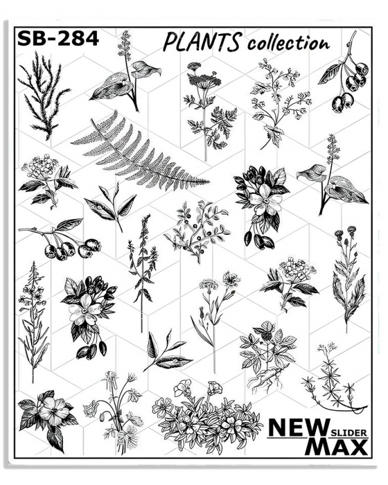 Слайдер NEW MAX SB-284