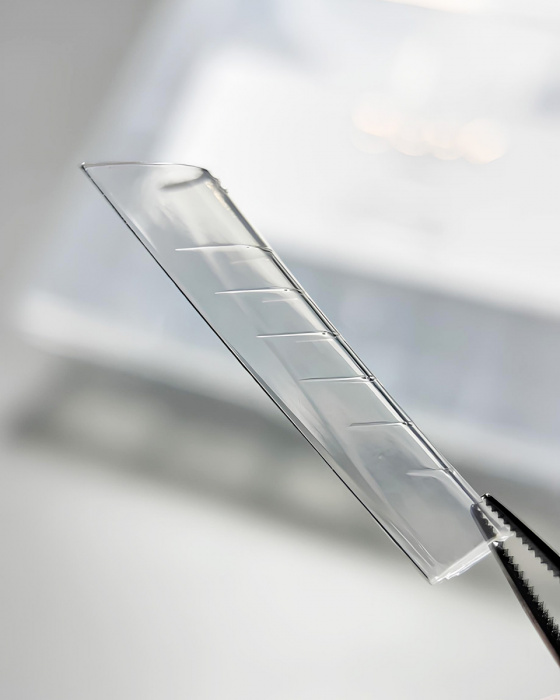 DARK Верхні Форми Gothic Ballerina