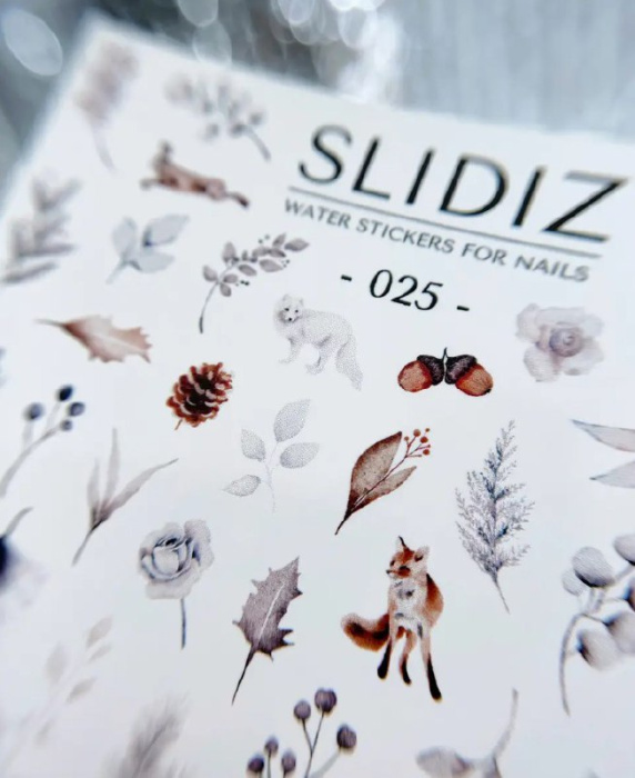 Слайдер дизайн SLIDIZ №025