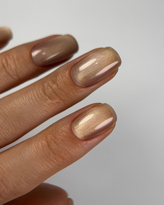 DARK Gel Polish Cat Eye 14, 6 мл
