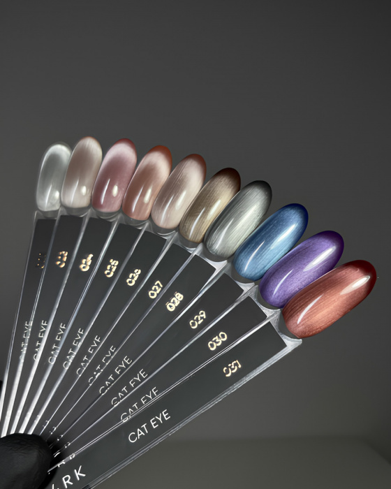 DARK Gel Polish Cat Eye 27, 10 мл