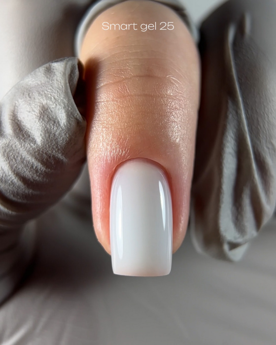 DARK Smart Builder Gel 25, 15 мл