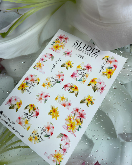 Слайдер дизайн SLIDIZ №322