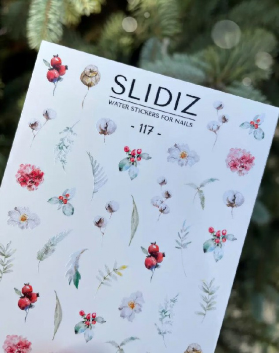 Слайдер дизайн SLIDIZ №117