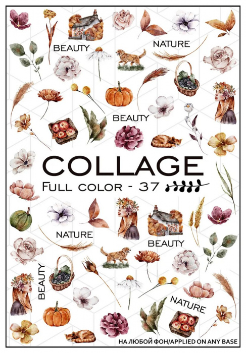 Слайдер-дизайн Collage Full Color-37