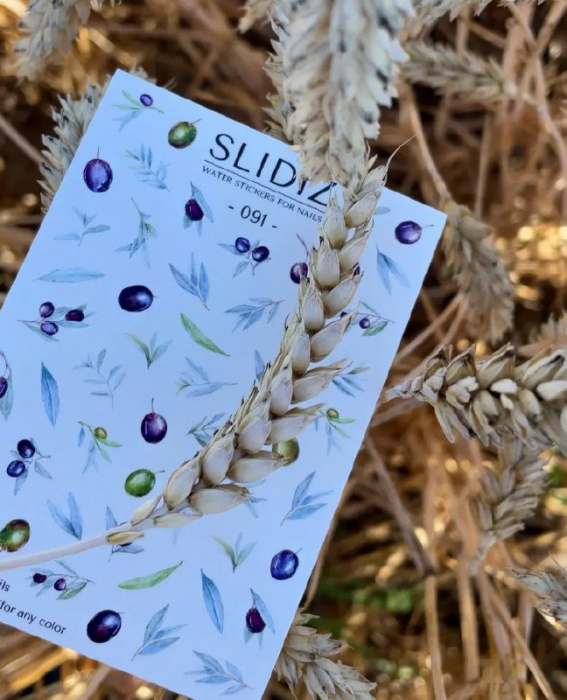 Слайдер дизайн SLIDIZ №091
