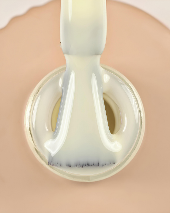 DARK Pro Base 66, 15 мл