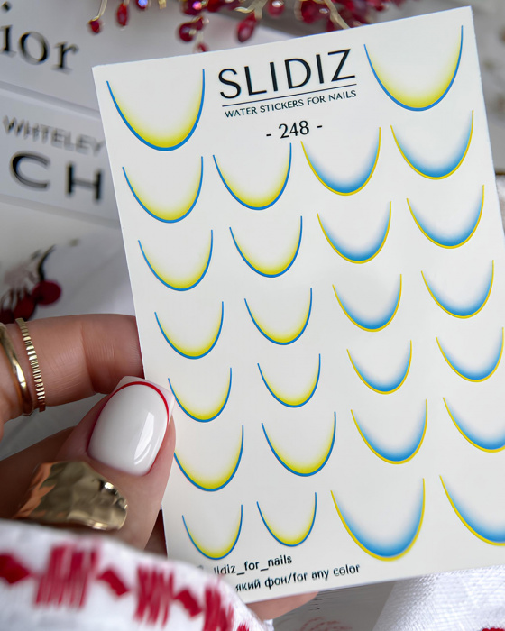 Слайдер дизайн SLIDIZ №248