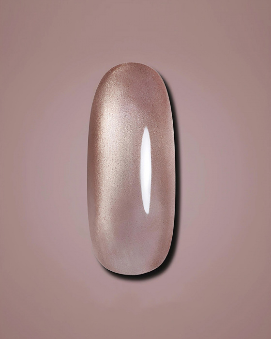 DARK Gel Polish Cat Eye 14, 6 мл