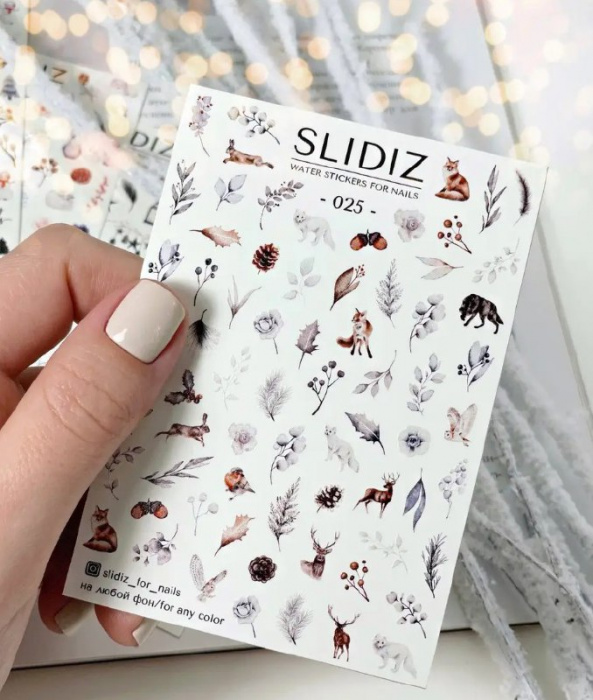 Слайдер дизайн SLIDIZ №025